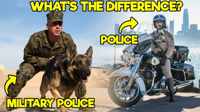 Military Police vs. Police (What's the Difference?)